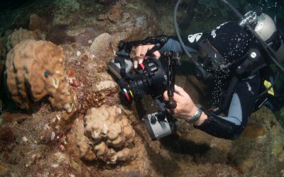 PADI Digital Underwater Videography Specialty Course